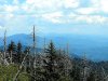 DSCF0110.jpg
