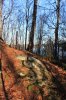 Algonquin Trails 12.jpg