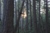 Algonquin Trails 19.jpg