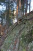 Algonquin Trails 54.jpg
