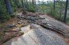 Algonquin Trails 106.jpg