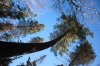 Algonquin Trails 86.jpg