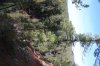 Algonquin Trails 124a.jpg