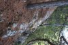Algonquin Trails 125a.jpg