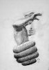 in the grip 1.jpg