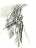 Dark Figure sketch 800 size.jpg