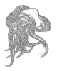 Octopus 800 size.jpg
