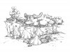 dragon toadstools jan02 800 size.jpg