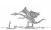 Preflight Dragon (Large).jpg