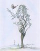 8x10 coloured Tree Dancer in Flight 800 size.jpg