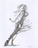 8x10 coloured Flowing Dancer 800 size.jpg