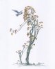 8x10 coloured Traveling Companion 800 size.jpg