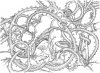 Frog Circle 800 size.jpg