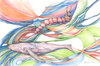 37715A92-36CC-4B40-B87E-58242F048B24.jpeg