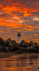 upload_2022-4-30_6-56-15.png