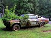 Ford Mustang Barn Finds - Classic Muscle Cars in Barns ___.jpg