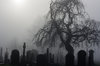 What Happens If a Cemetery Goes Under_.jpg
