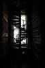 Old library, la biblioteca del Trinity College ___.jpg