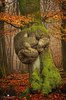 523 best Amazing trees images on Pinterest _ Nature ___.jpg