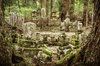 Spiritual Buddhist Monk Experience in Wakayama! _ Japan Info.jpg