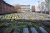 Campus History_ The Novo Cemetery at QMUL _ The Print.jpg