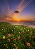 Most Beautiful Scenery Of Nature _ www_pixshark_com ___.jpg