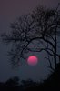 25+ best ideas about Beautiful nature photography on ___.jpg
