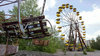Life, Thriving In The Chernobyl Exclusion Zone _ Blog Of ___.jpg