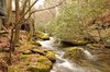 17 Best images about Elkmont on Pinterest _ Tennessee ___.jpg