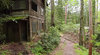 Hiker Discovers an Abandoned Town Inside Tennessee's Great ___.jpg