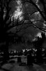 17 best ideas about Blood, Spirit, and Bone_ The Hunted ___.jpg