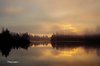 eagle harbor fog 2.jpg