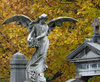 Memorial Day_ Weeping Angels at Eternally Eerie Graveyards.jpg