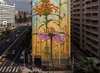 Gigantic murals of local flora sprout on buildings around ___.jpg