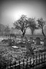 637 best images about Haunted property, cemetery's, roads ___.jpg
