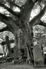 Old cemetery by ~Tanja0869 on deviantART _ cemetary Crypt ___.jpg