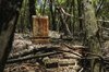 GALLERY_ Forgotten souls of Garrawarra Cemetery ___.jpg