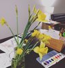 IMG_20190223_204638_288.jpg