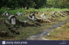old tombstones and graveyards in abandoned chinese ___.jpg