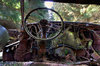 This Traffic Jam Was Stuck In Belgian Forest For 70 Years ___.jpg