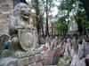 The 10 Most Scary Places On The Earth (Photo Gallery).jpg