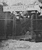 THE OLDEST AND MOST REAL HAUNTED SCARIEST CEMETERIES IN ___.jpg