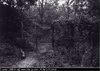 11 Scary pictures with ghosts in cemeteries 2013 pics ___.jpg