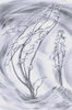 EBAA6109-6F24-429C-A147-9DE77CE18FDE.jpeg