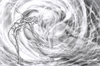 AF42711E-64C7-4D0E-A8B3-BF9ACD646D97.jpeg