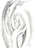 E9AD0683-F3C6-46D3-AFB4-5BA9DBDA0D02.jpeg