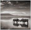Amazing Black and White Photos - Barnorama.jpg