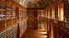 Discover Magnificent Libraries Worldwide Containing ___.jpg
