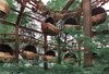 An abandoned Berlin Amusement Park_ Spreepark (Kulturpark ___.jpg