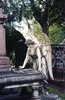 Who knew a gravesite could be so beautiful_ Savannah, Ga ___.jpg